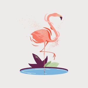 Flamingo_