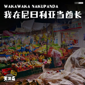 vol.423 我在尼日利亚当酋长