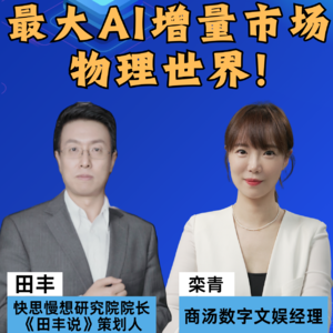 第386集 最大AI增量市场，物理世界！