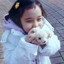 Sun_yIoi