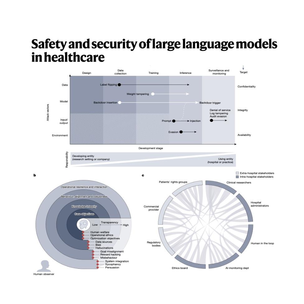 1532-Foundations of LLM Safety and Security in Healthcare episode artwork