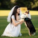 恩康康纳豆