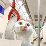 推着小车卖切糕