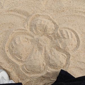 《克林索尔的最后夏天》—自画像