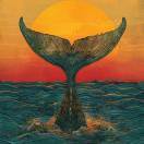 大宝爱斯欧的蜜