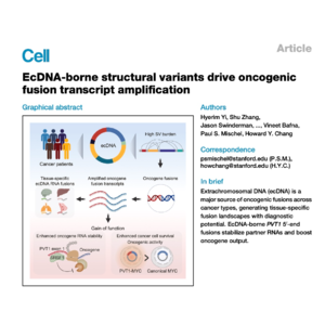 403-EcDNA Variants Drive Oncogenic Transcript Amplification