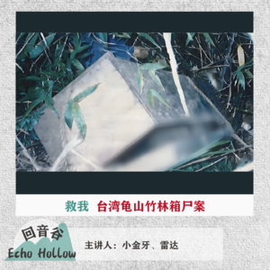 EP32 救我｜台湾龟山竹林箱尸案