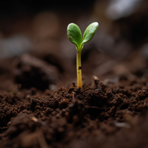 E38 失去与获得:关于成长的另一种叙事