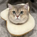 昊儿_