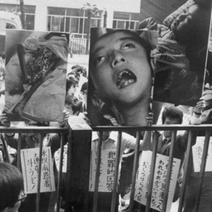 103.腐海狂潮:水俣湾的变异诅咒(丧尸症候群纪实)