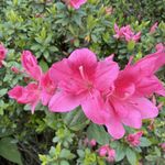 每天学习一点知识