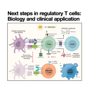 411-Treg Therapy: The Dawn of Precision Immune Tolerance