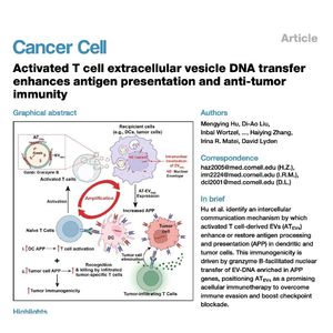 1005-Activated T Cell Vesicles Boost Antigen Presentation