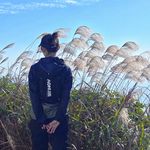 好厉害的华夫饼