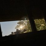举头望明月不低头