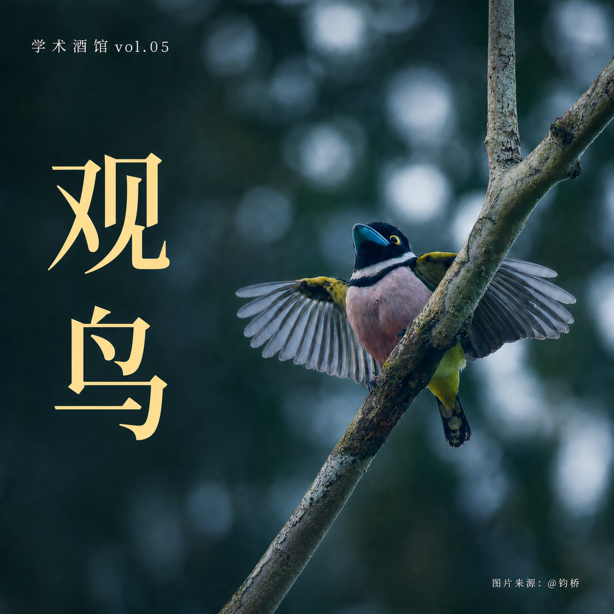 学术酒馆04|灰喜鹊在骂你,而你听不懂 episode artwork