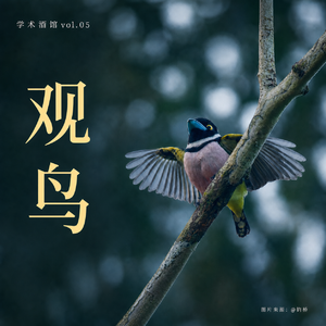 学术酒馆04|灰喜鹊在骂你,而你听不懂