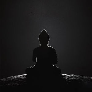 长江电力,中国神华深度投资价值分析