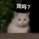 我二東啊