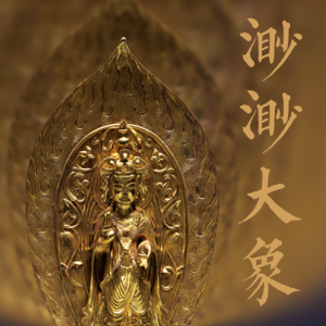 [特别篇]渺渺大象-平湖博物馆-魏祝挺导览
