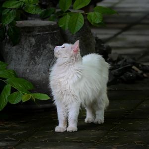 Vol.55 闲暇时便享受闲暇
