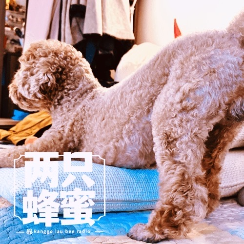 Vol.34 家有萌宠乐无边，一半温暖一半甜 episode artwork