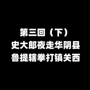 08第三回 史大郎夜走华阴县 鲁提辖拳打镇关西（下）
