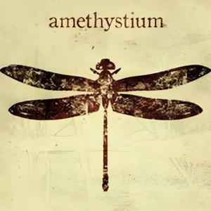 音阙时光机 | vol.042：在雨中起舞的蜻蜓