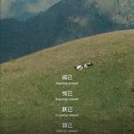 郑欢颜