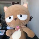 爱吃榴莲的香菜