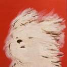 我要找到电子榨菜