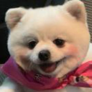 试试呗的个人播客