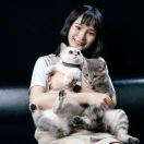 在下子小森蓝
