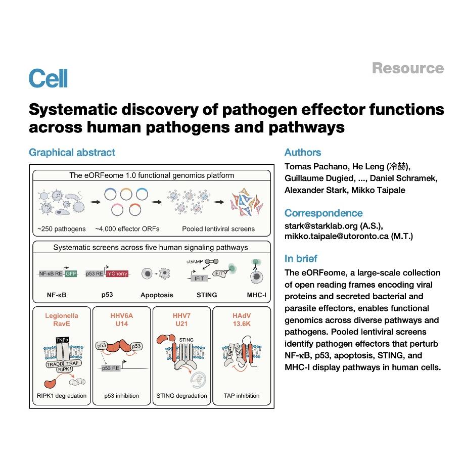 1306-eORFeome: Discovery of Pathogen Effector Functions episode artwork