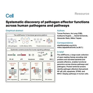 1306-eORFeome: Discovery of Pathogen Effector Functions
