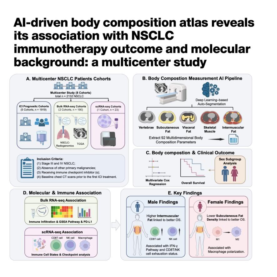 1263-AI-Driven Body Composition Atlas in NSCLC episode artwork