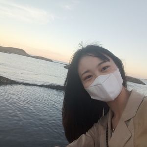 努力奋斗的雪鹅