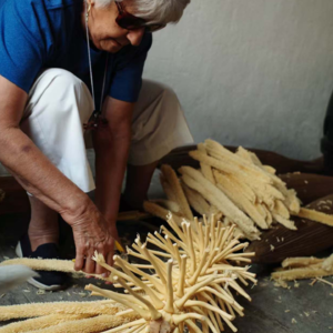 105 她在危地马拉、厄瓜多尔、尼加拉瓜的158天｜🇪🇨产地见闻录