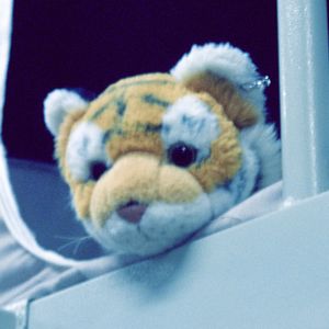 podcaster-avatar
