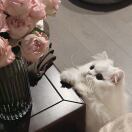 Clara_3300
