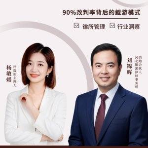 Vol.41对话刘锦辉:90%改判率背后的鲲游模式