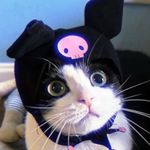 tsuukiii