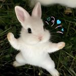 橙秋筠