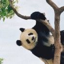 拽哥的热心王友