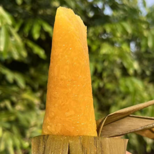 Vol.33 俞敏洪老师吃完还要打包|海南临高桃姐的花梨碱水粽来了