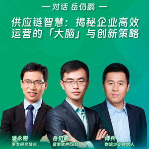 供应链智慧:揭秘企业高效运营的「大脑」与创新策略