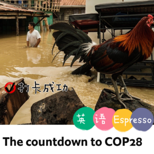【71】COP28进入倒计时
