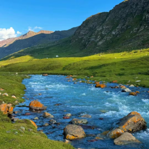 49.情绪经济，未来20年最赚钱的行业