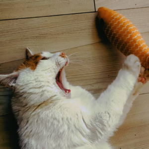 002-《读库2502》阅读心得