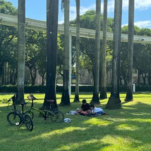 老谭朗诵马丁路德金《我有一个梦想》